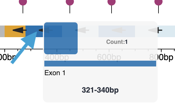 Chromosome tooltip example B with a blue arrow indicating where to hover